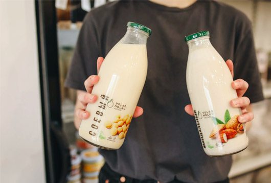 Alternative Milk