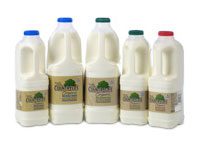 Fresh Milk Delivered to your Office every day
